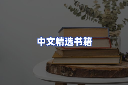 中文精选书籍